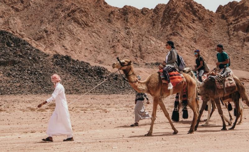 Win a Free One Day Trip to South Sinai's Protectorates With Eco Egypt