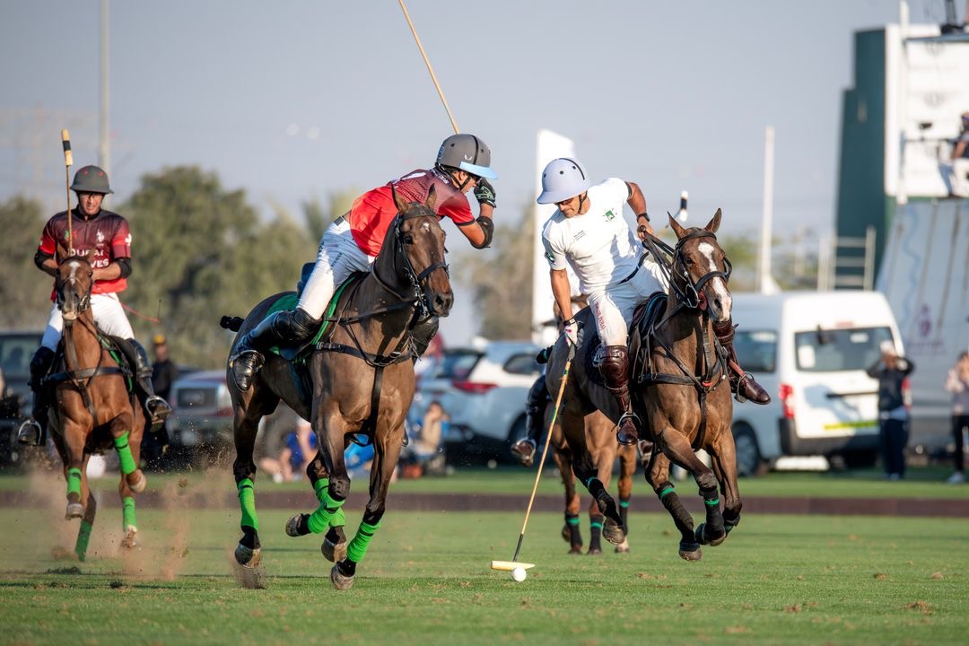 Al Habtoor Polo Resort Will Host Brunch During Gold Cup Final