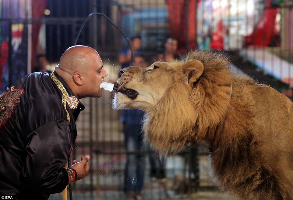 Shocking Egyptian Circus Act Goes Viral