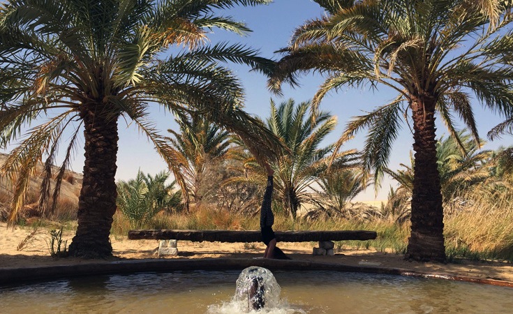It's Time to Eat Sweet Dates While Exploring the Beautiful Siwa Oasis