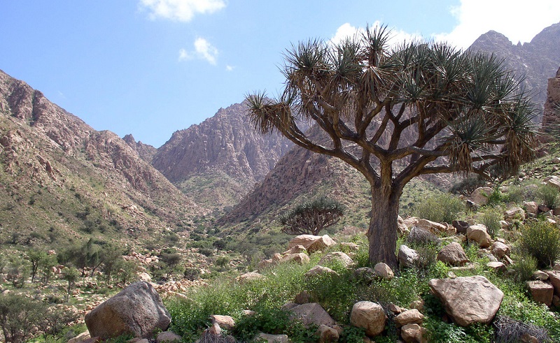 9 of Egypt's Most Beautiful Nature Reserves