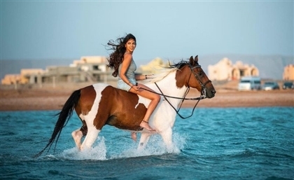 Swim with Horses in Egypt's Red Sea