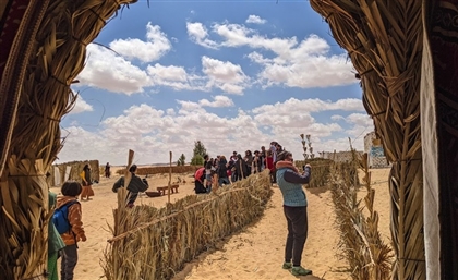 Sustainability in Siwa: How This Farm Welcomes Wanderers Off the Grid