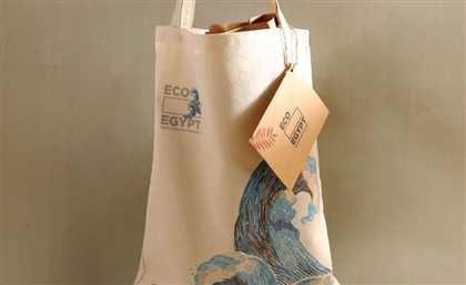 Explore Egypt's Natural Landscapes With Eco Egypt's Green Travel Kit