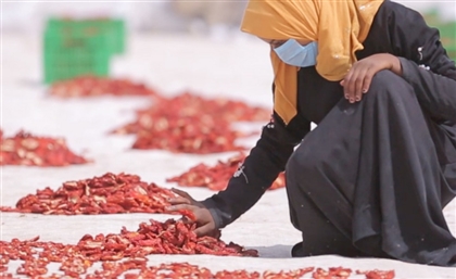These Sun-Dried Tomatoes Help Empower the Women of Luxor