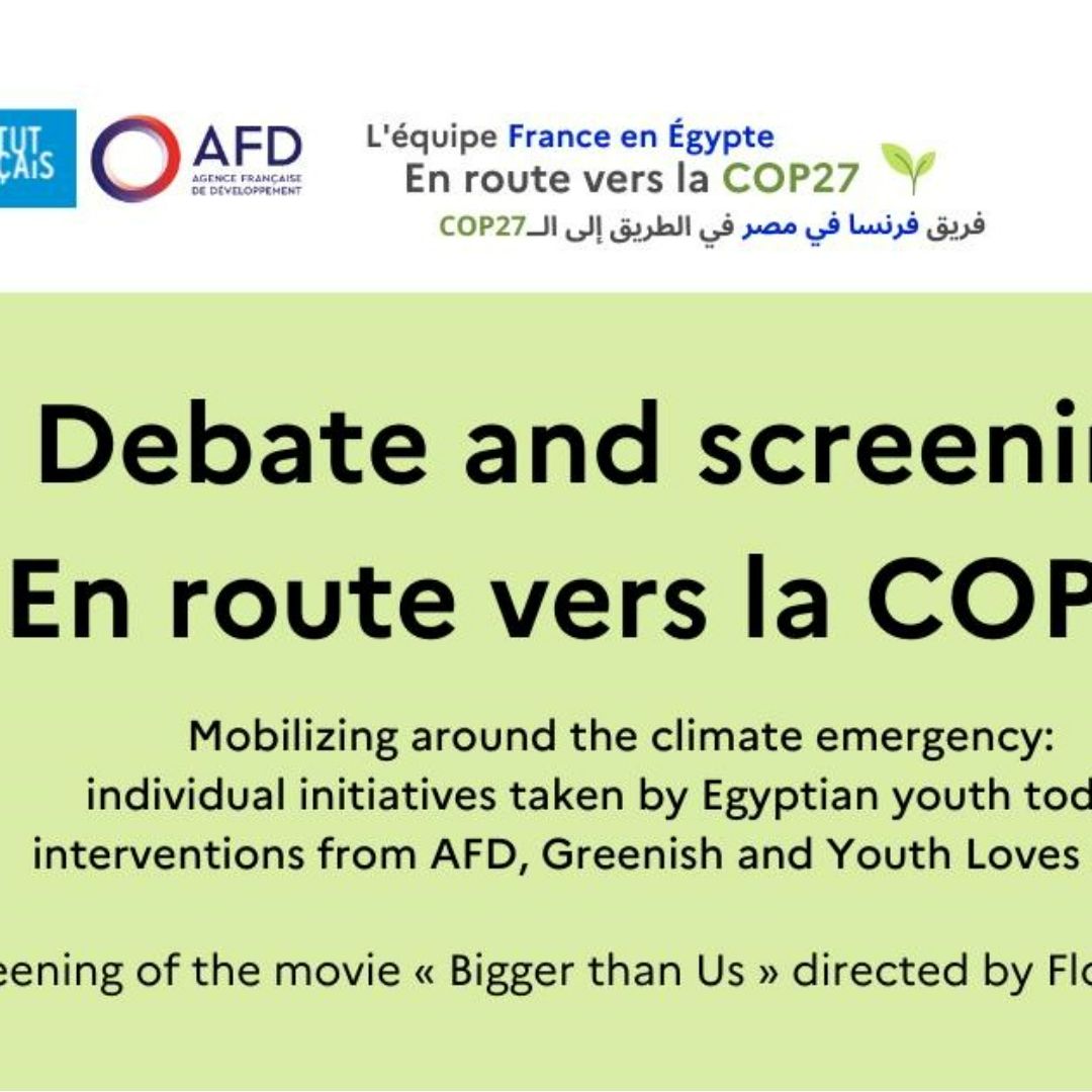 'En Route Vers La COP27' Debate