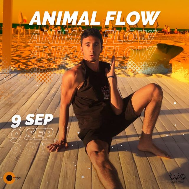 Animal Flow 
